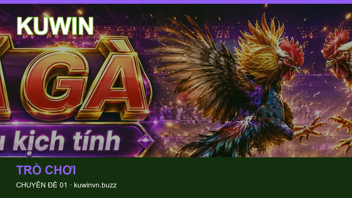 Hỏi đáp về Game bài: quy trình tự kiểm tra trên KUWIN